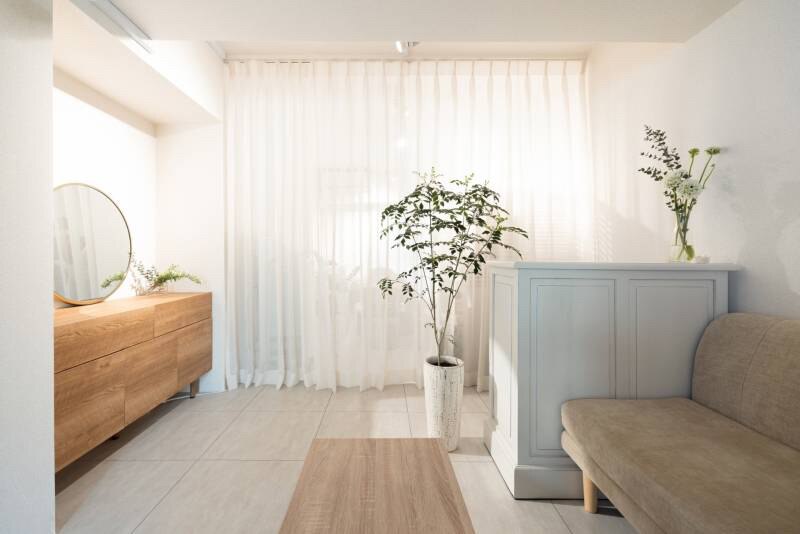 ムー(mou)の紹介画像