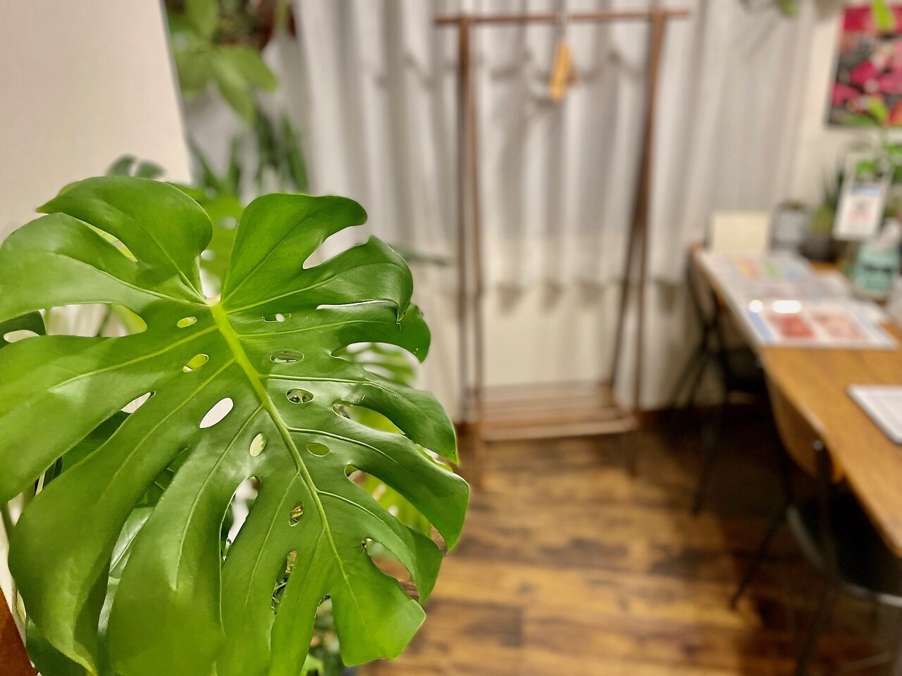 メンズ脱毛サロン Mr.Smooth 【ミスタースムース】の紹介画像