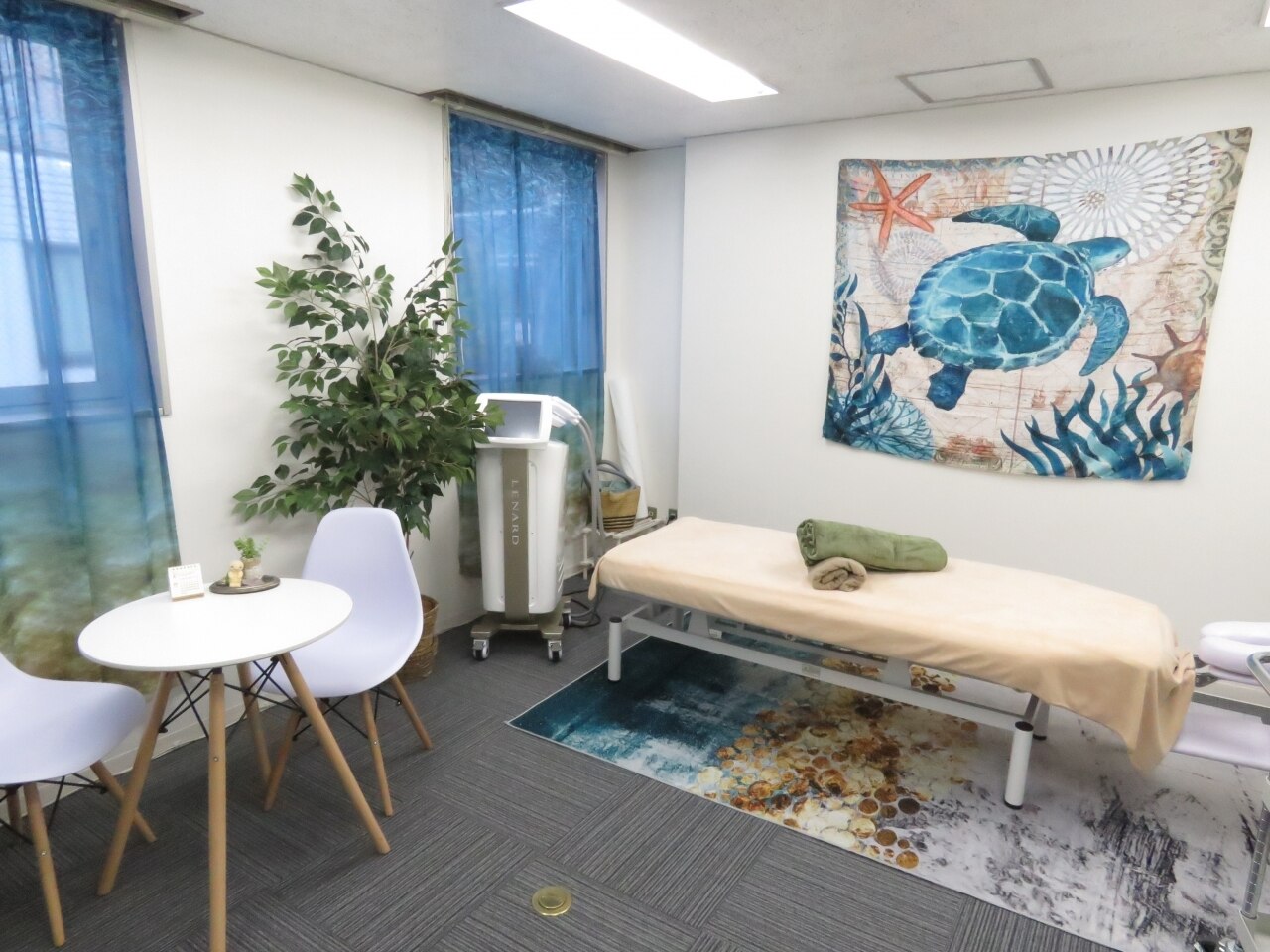 ガラパゴスの紹介画像