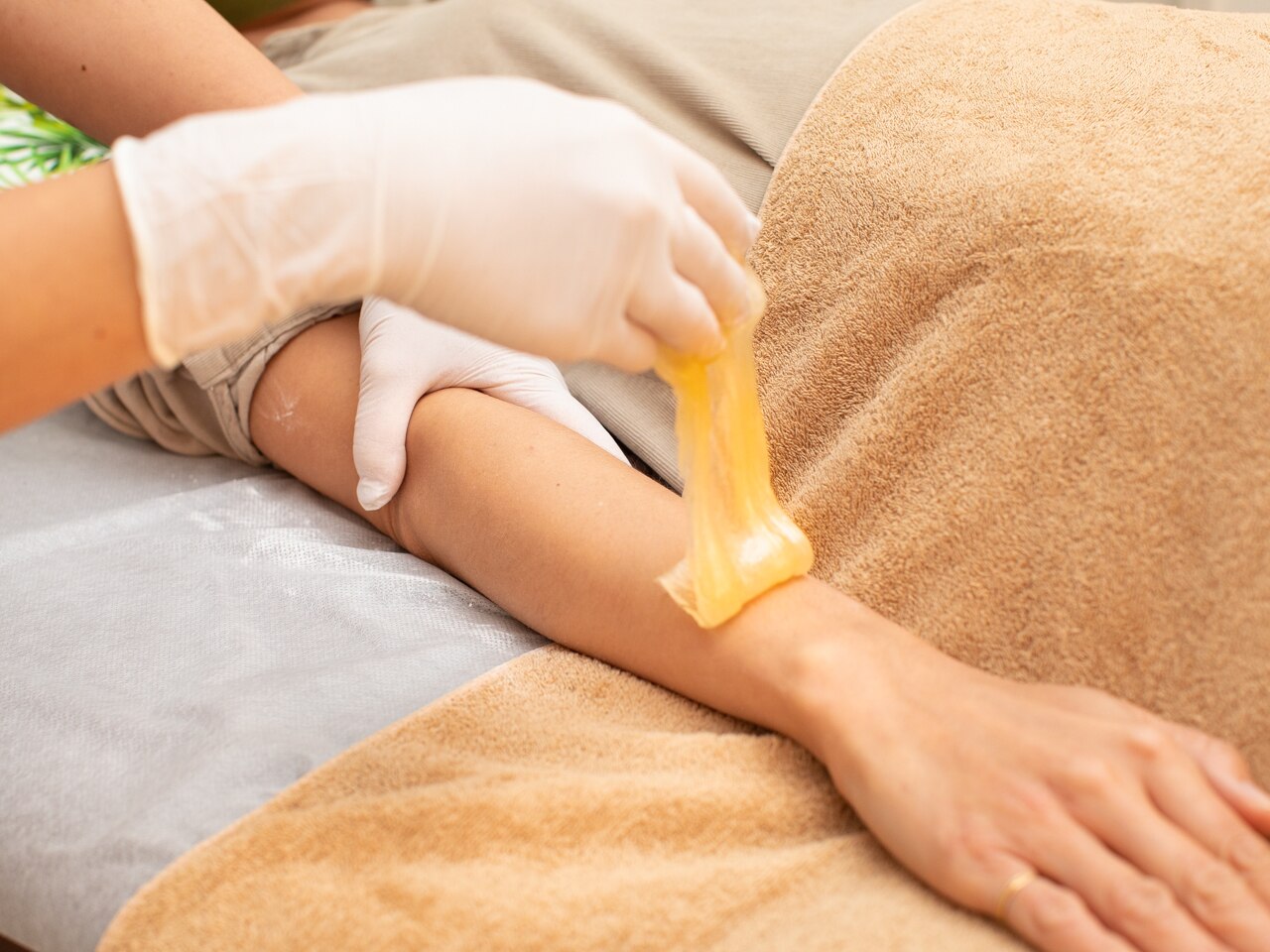 メリッサ(Melissa)の紹介画像