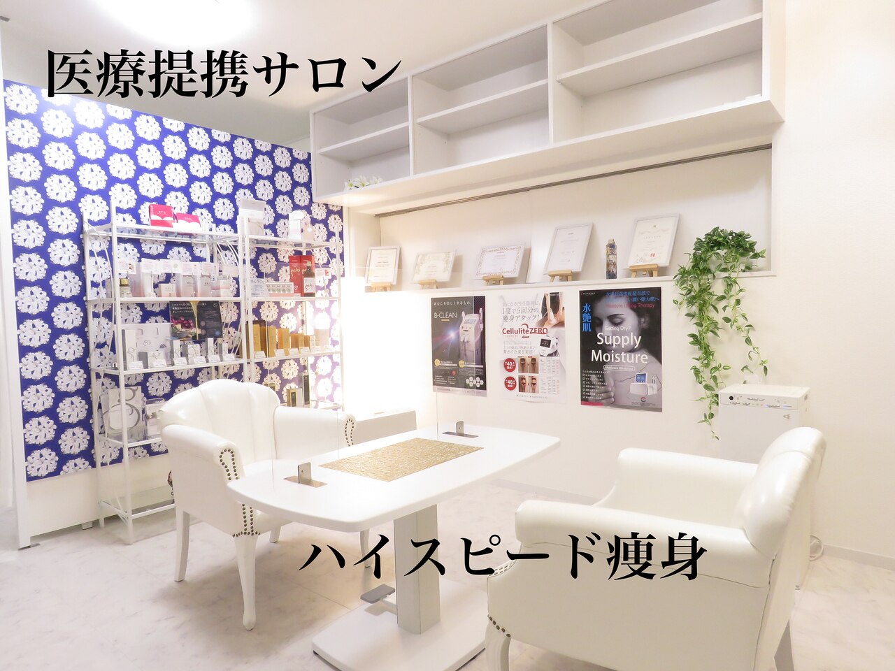 リスブロンシュ(Lis Blanche)の紹介画像