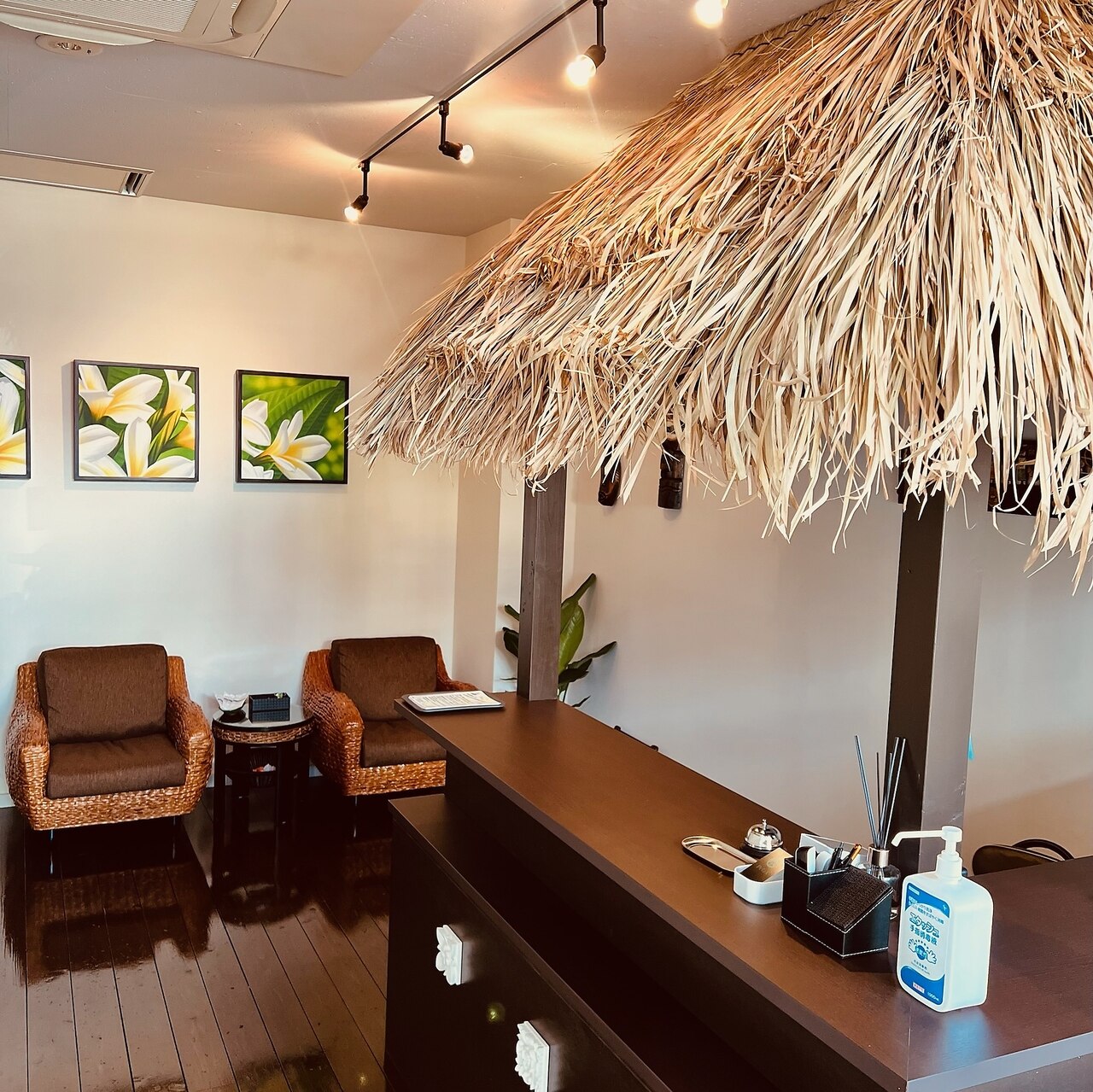 ピラックス(PELAX)の紹介画像