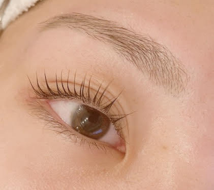 ハットウ(HATTO)の紹介画像