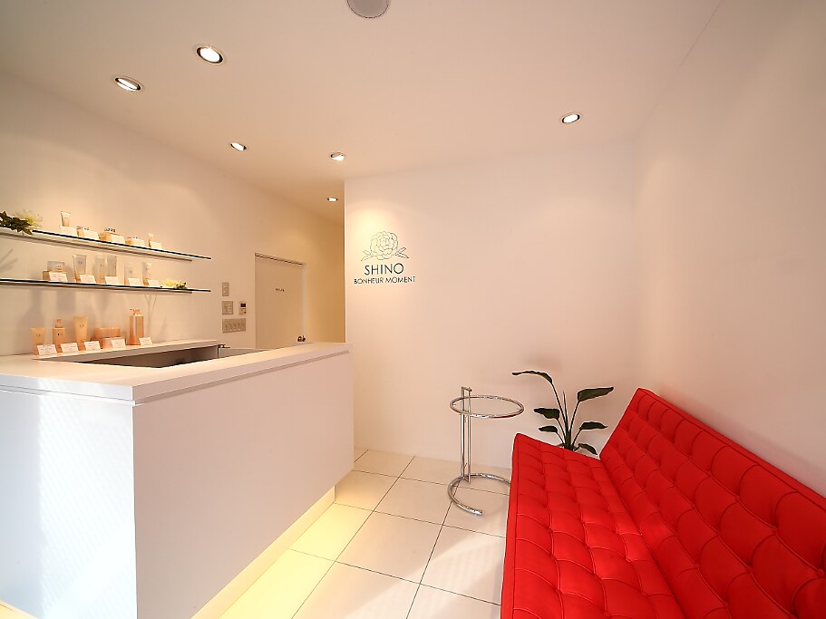 シノ ボヌール モマン(SHINO BONHEUR MOMENT)の紹介画像