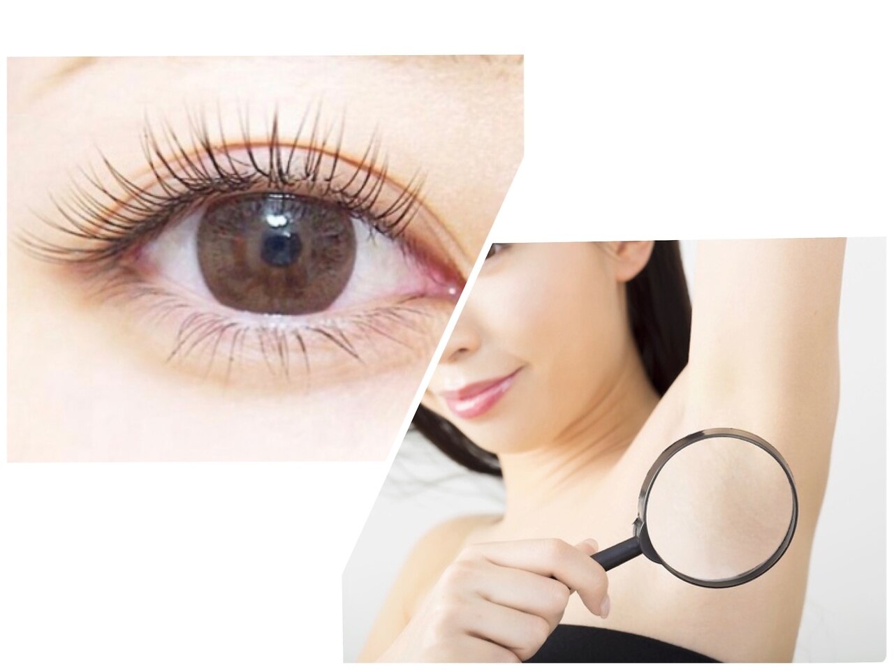 アールラッシュの紹介画像