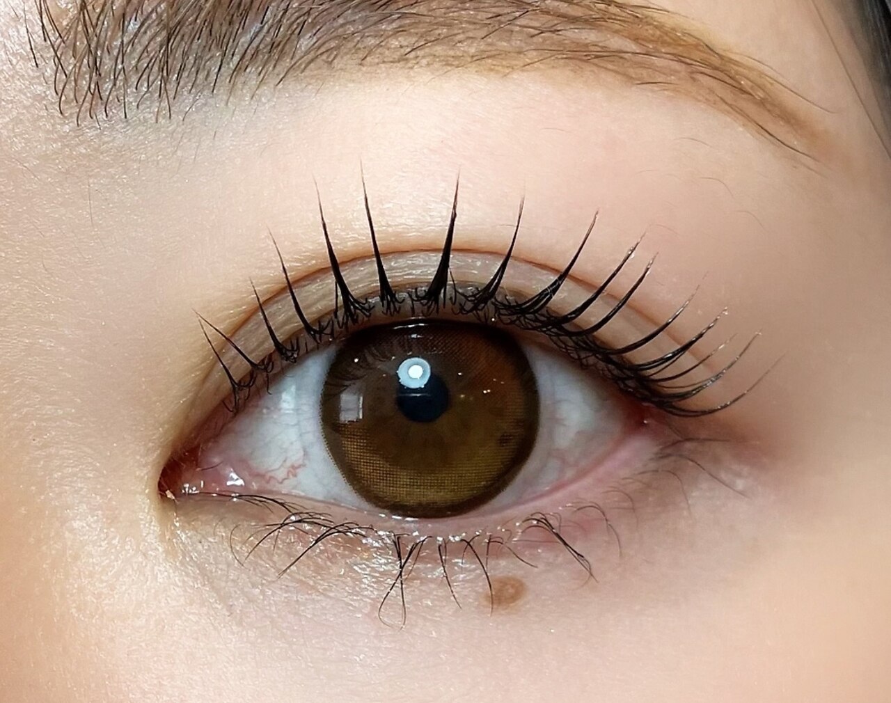 モアアンドモア(More&More)の紹介画像