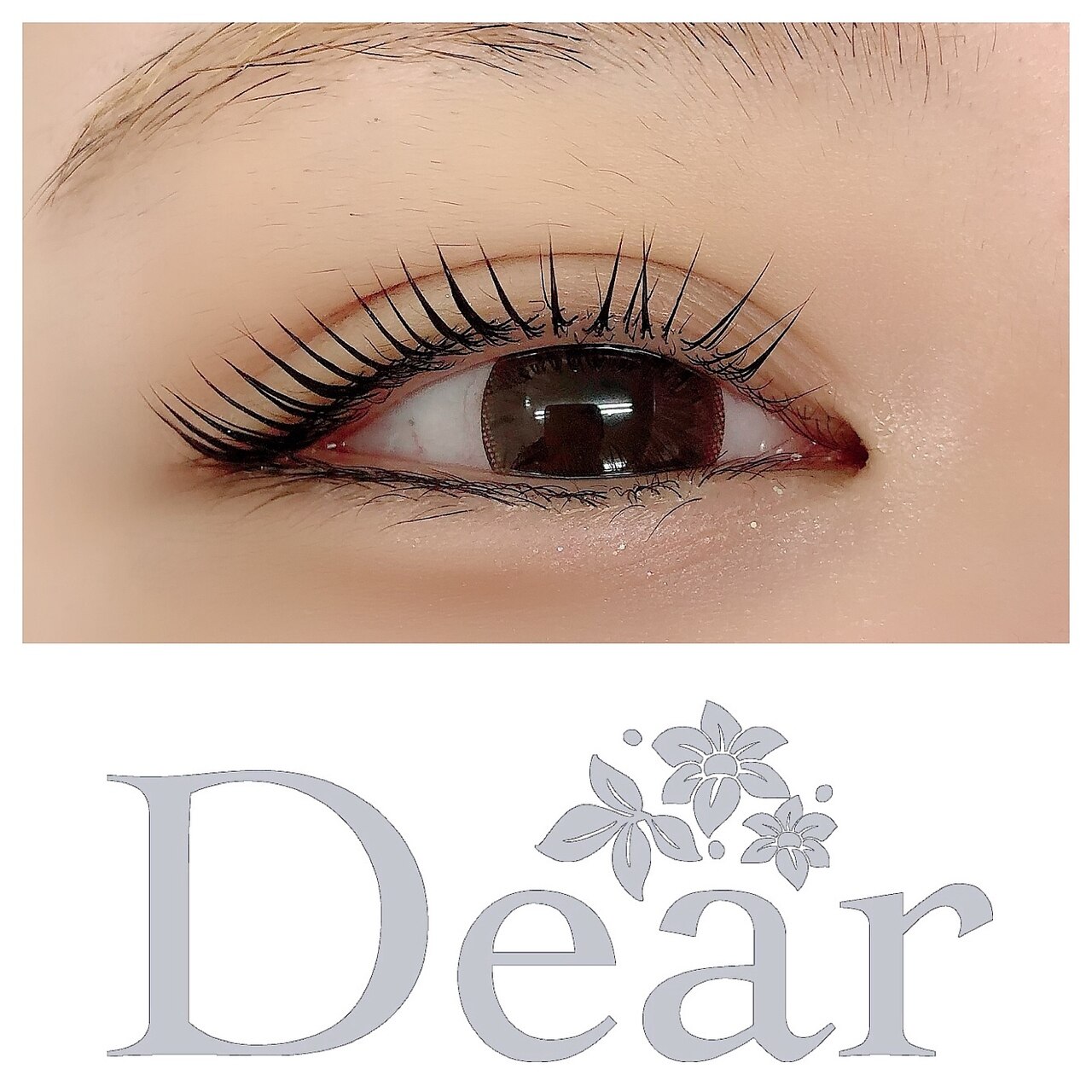 ディア 清澄白河店(Dear)の紹介画像