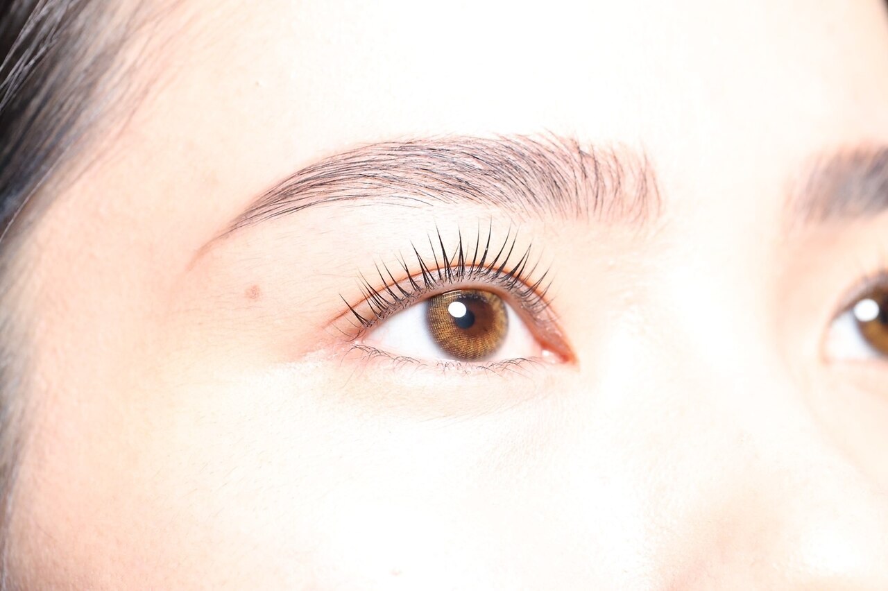 ディアナ(La Grand Belle Diana)の紹介画像