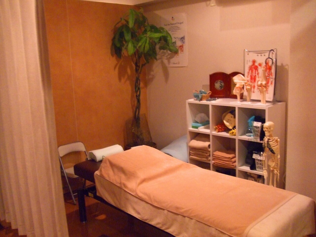 プラスファインの紹介画像