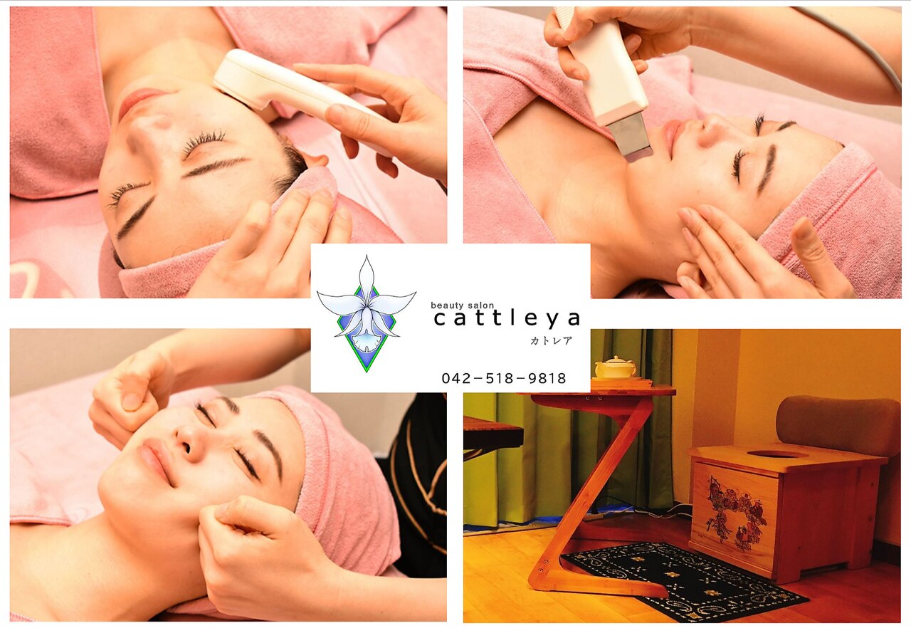 カトレア(Cattleya)の紹介画像