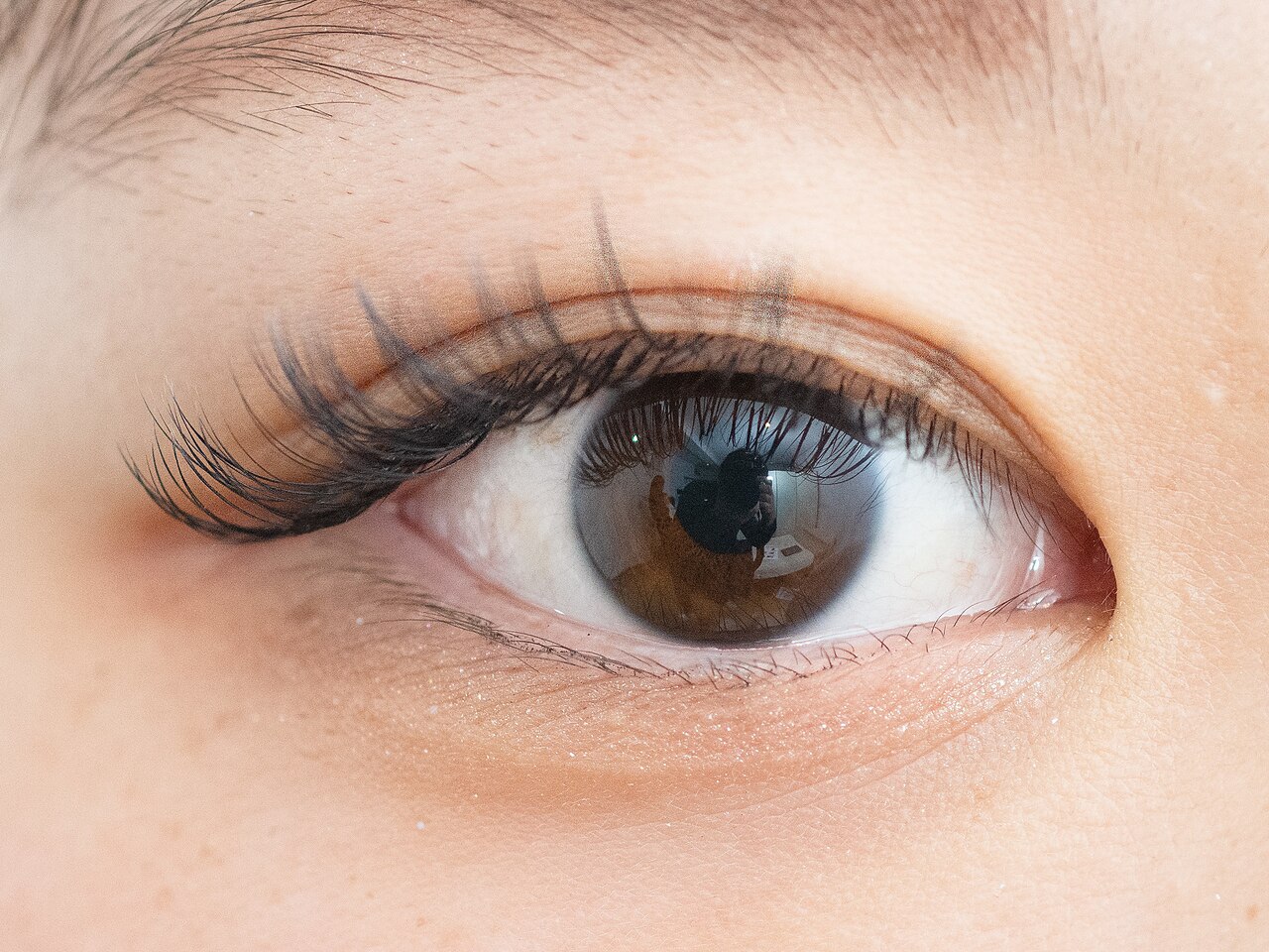 エーウイング(A.Wing.)の紹介画像