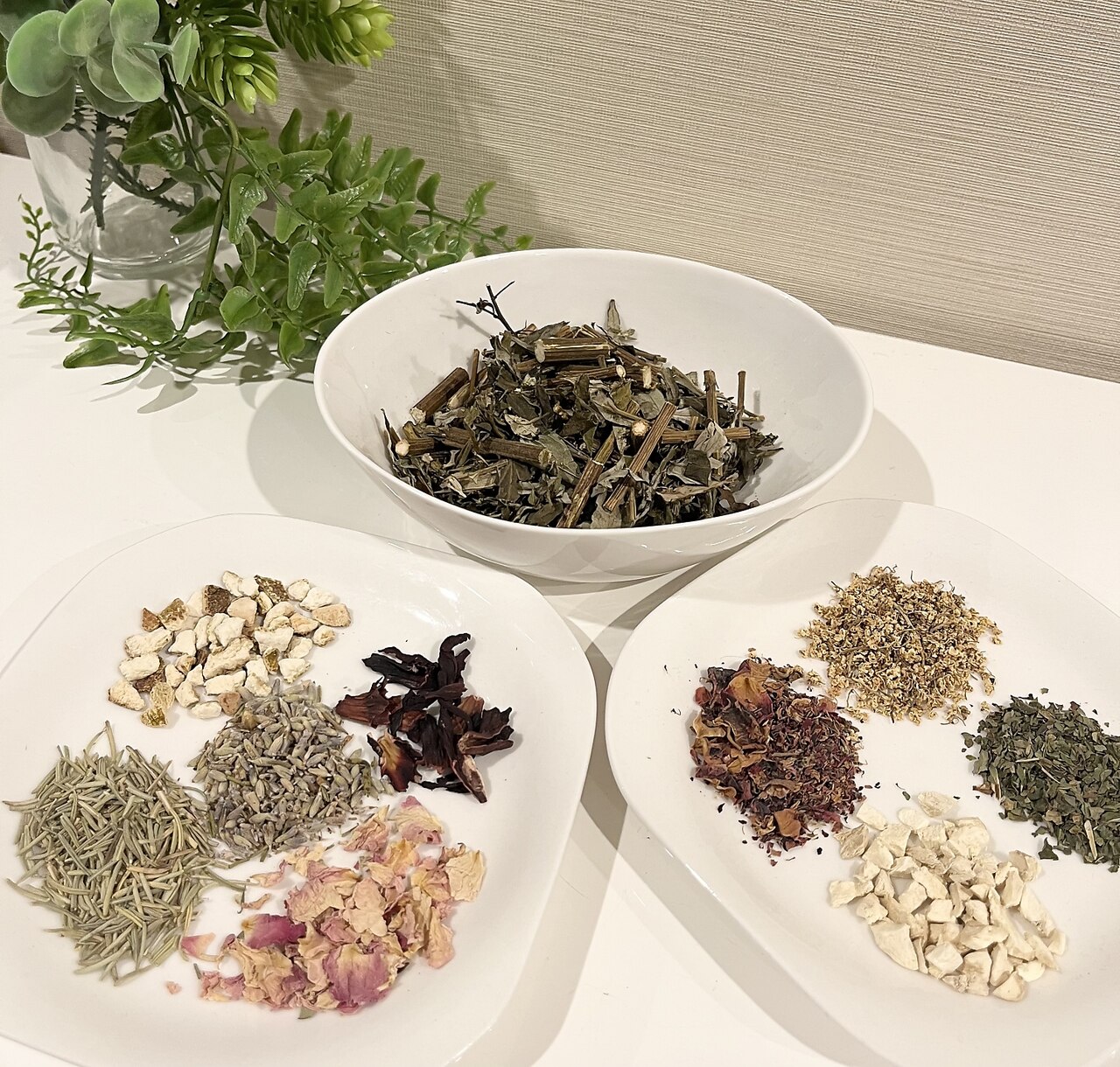 ベリンダモナ(Belinda Mona)の紹介画像