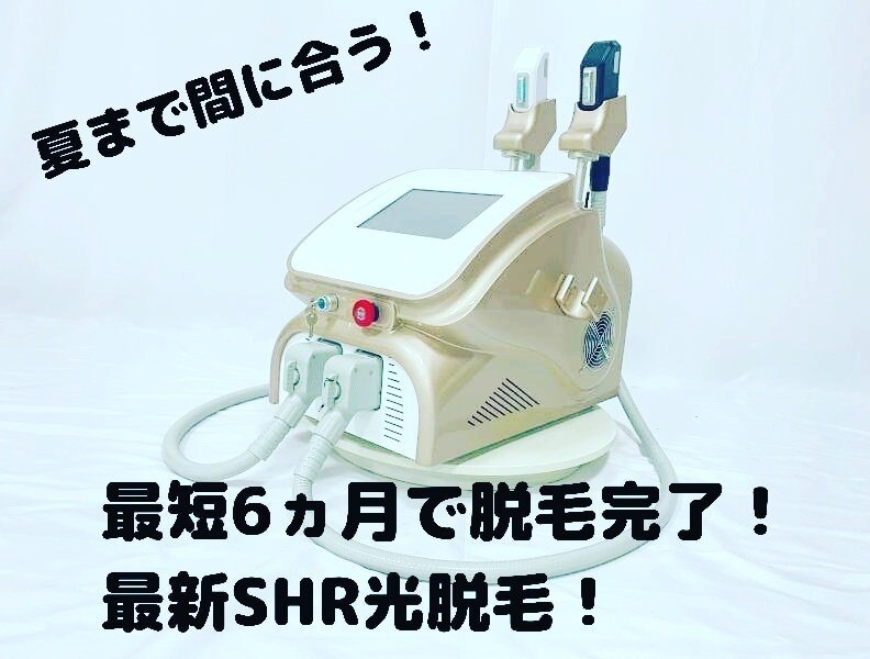 の紹介画像