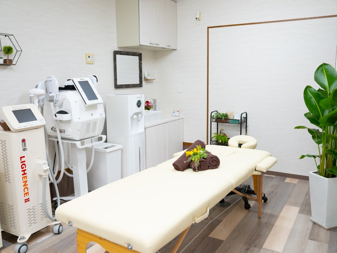 ツドイ(TSUDOI)の紹介画像