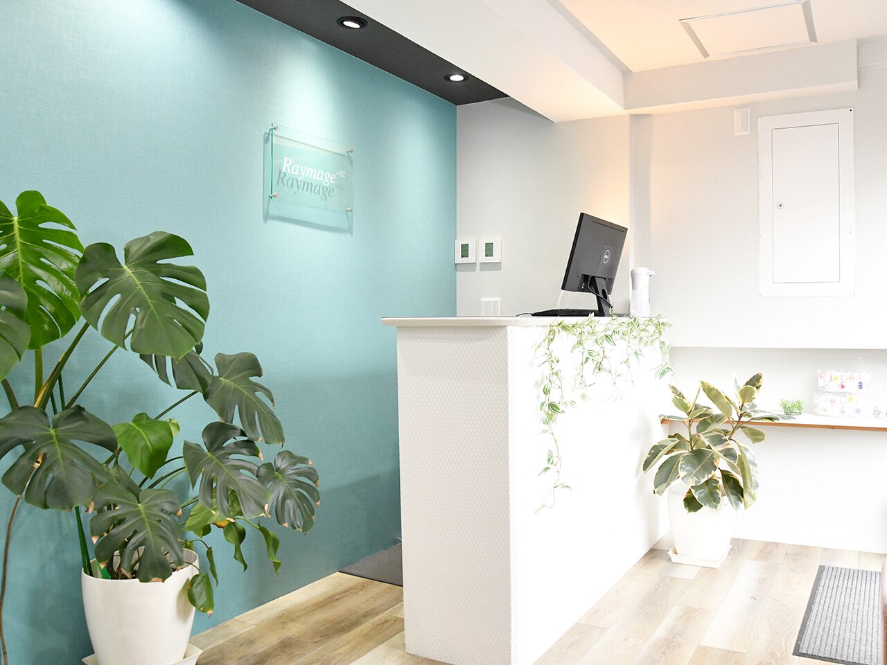 レイマージュプラスH2(Raymage+H2)の紹介画像