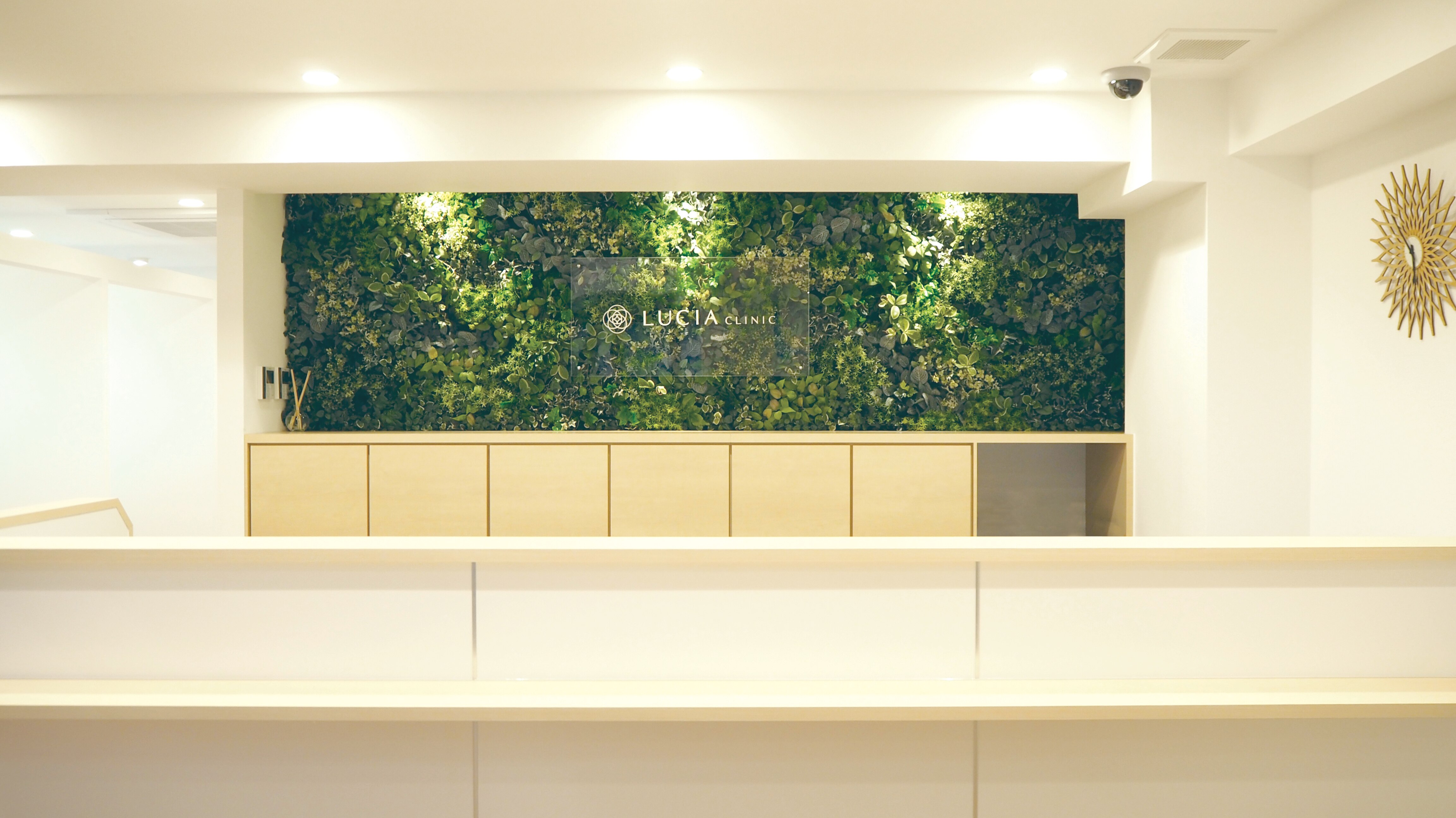 ルシアクリニック 川崎院の紹介画像