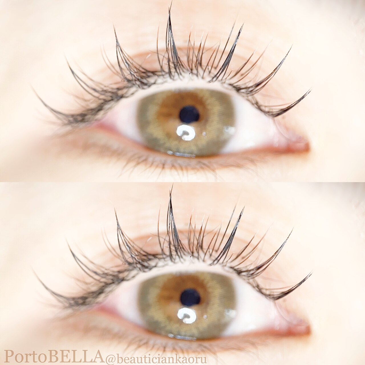 ポルトベッラ(Porto BELLA)の紹介画像