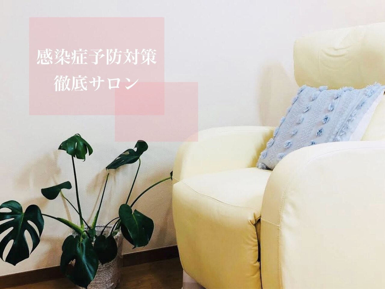 シリーラッシュ 武蔵小杉の紹介画像