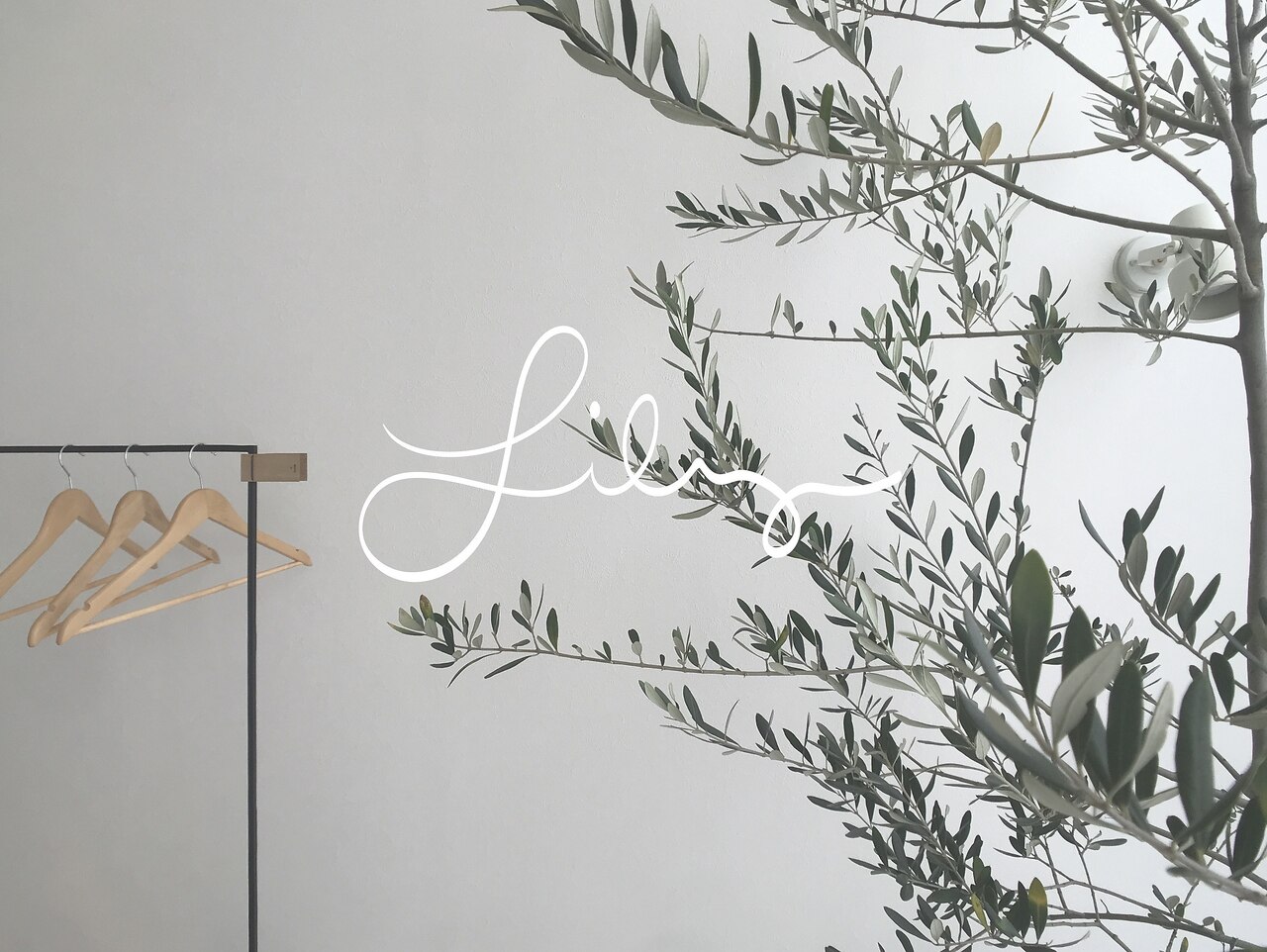 リリー タマプラーザ(Lily Tamaplaza)の紹介画像