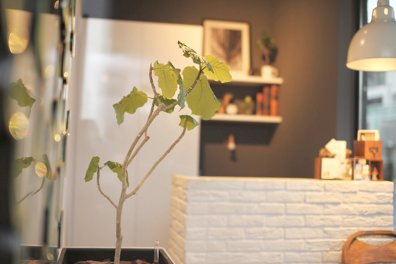 オーブ(Orb)の紹介画像