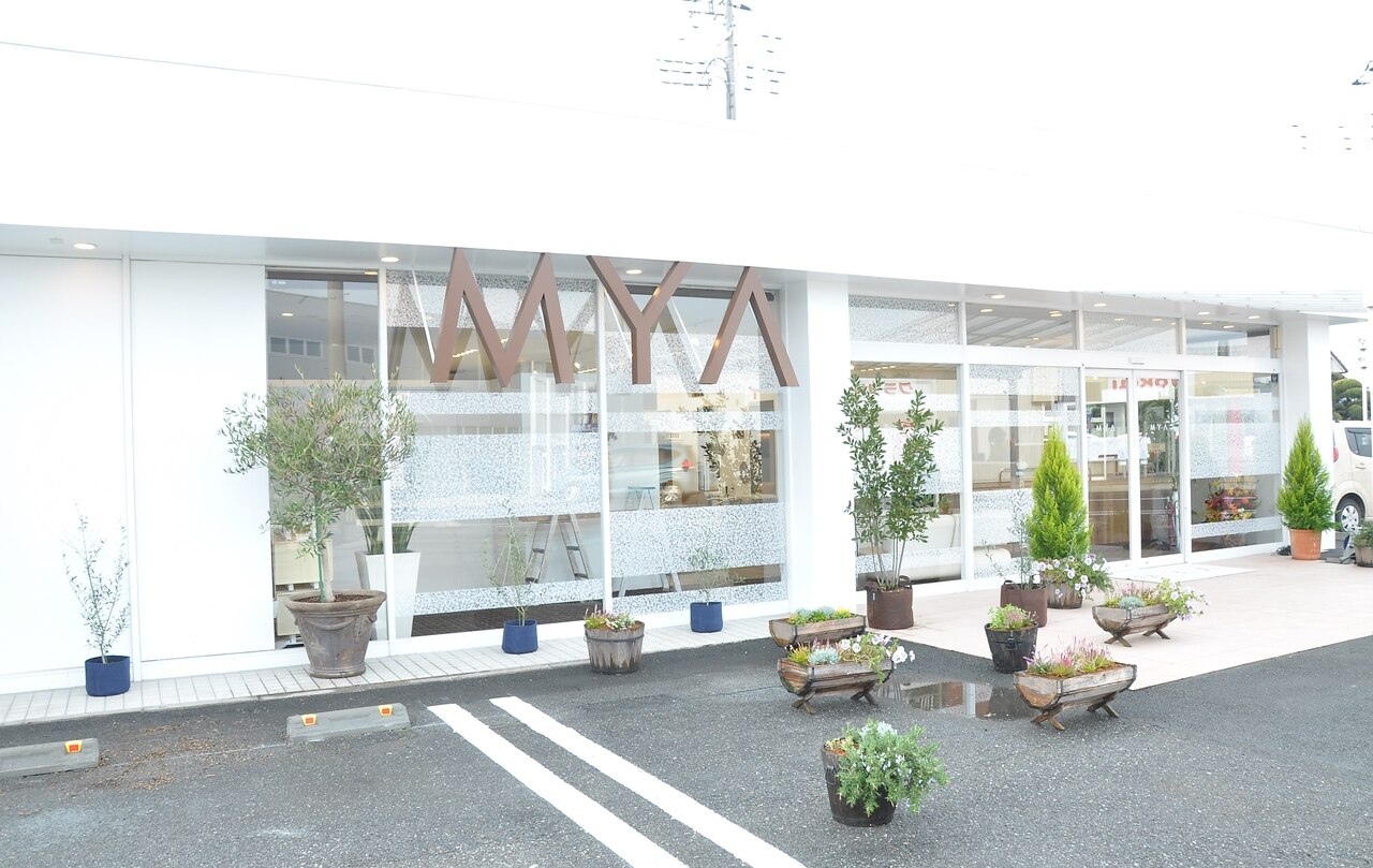 メンズ脱毛サロン Mr.Smooth 【ミスタースムース】の紹介画像