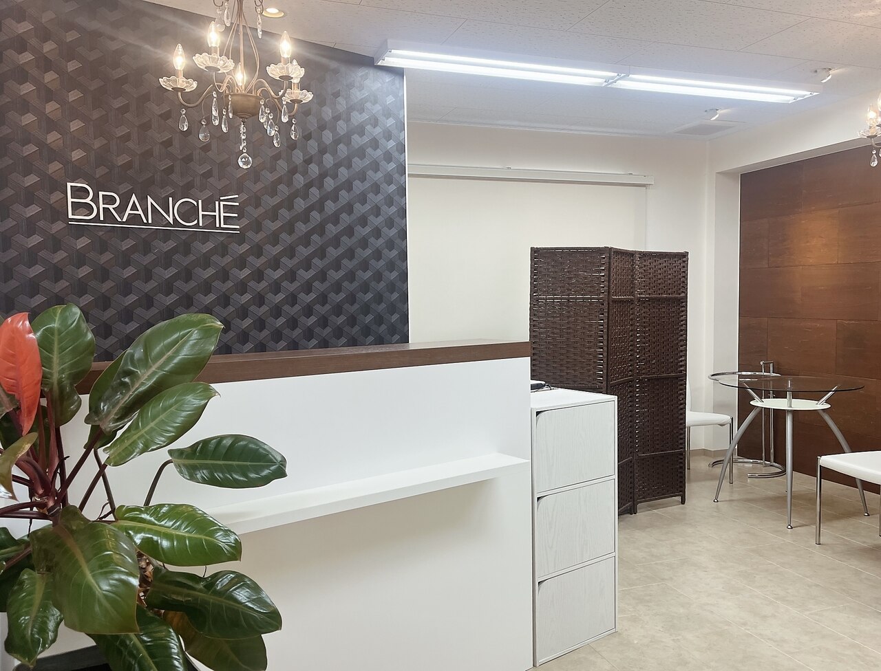 ブランシェ 野々市店 × 椿の紹介画像