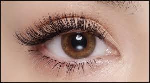 マンダラ(MANDARA)の紹介画像