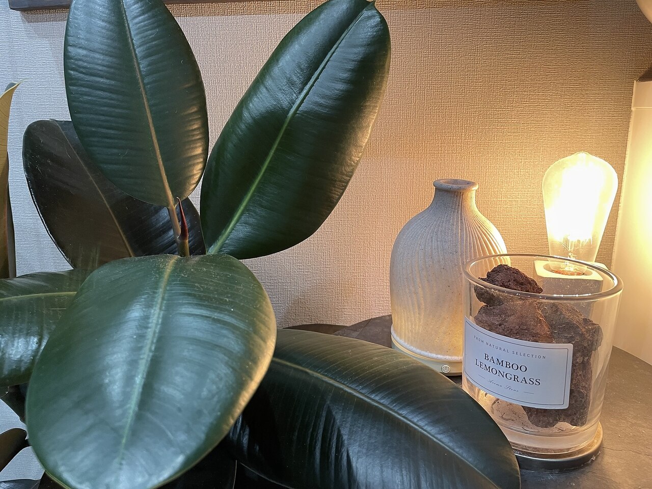 メンズ脱毛サロン Mr.Smooth 【ミスタースムース】の紹介画像