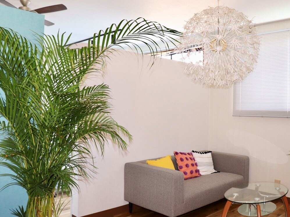 メンズ脱毛サロン Mr.Smooth 【ミスタースムース】の紹介画像