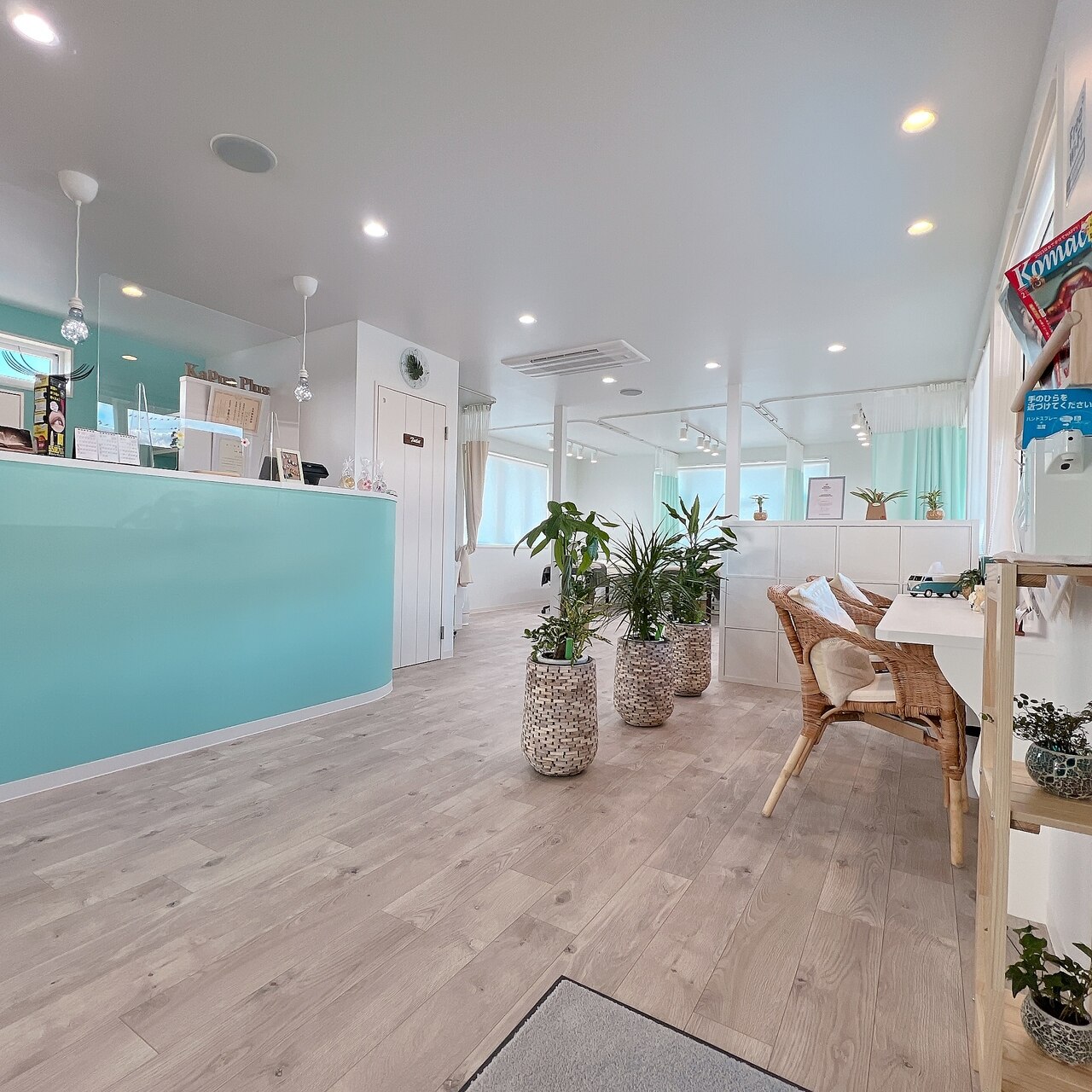 カプアプラス(Kapua Plus)の紹介画像