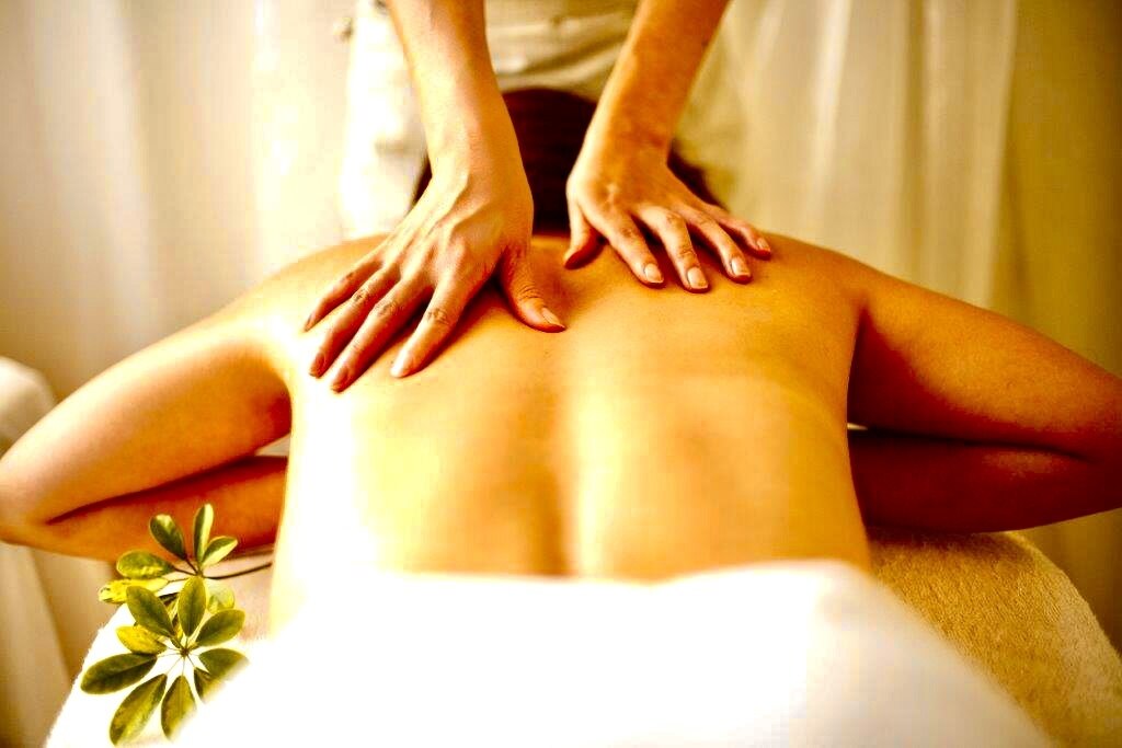 ノラサパス ハリキュー(NOLASAPS hari-Q)の紹介画像