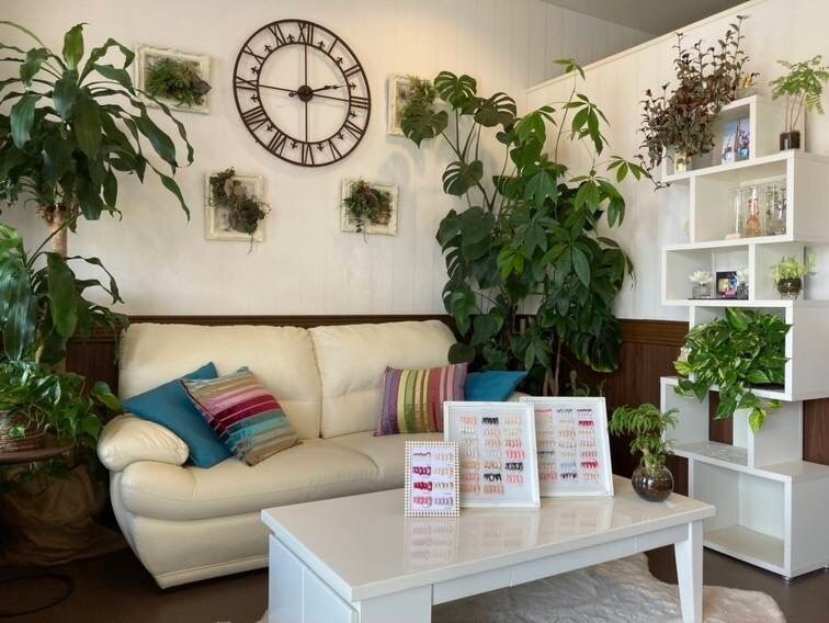 メンズ脱毛サロン Mr.Smooth 【ミスタースムース】の紹介画像