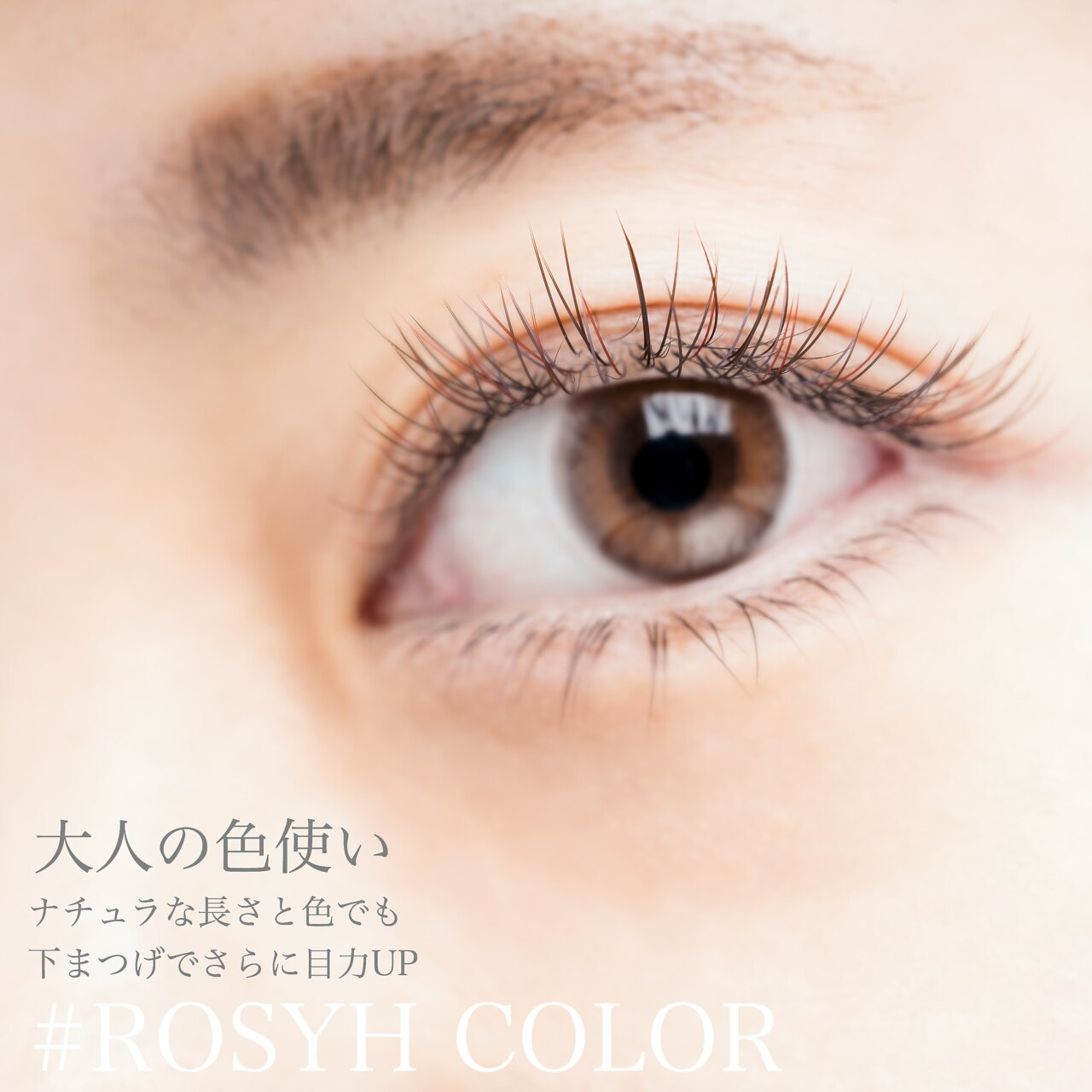 プアラニ(PUALANI)の紹介画像